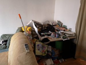 Wohnzimmer vorher