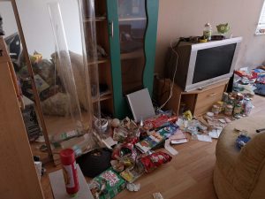 Wohnzimmer vorher